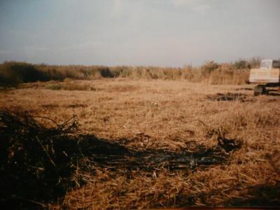kikötő1