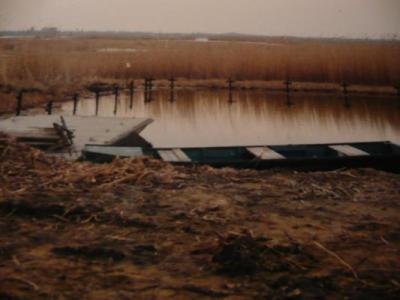kikötő10
