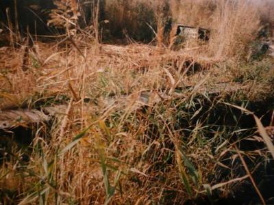 kikötő3