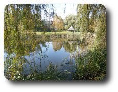 alborétum